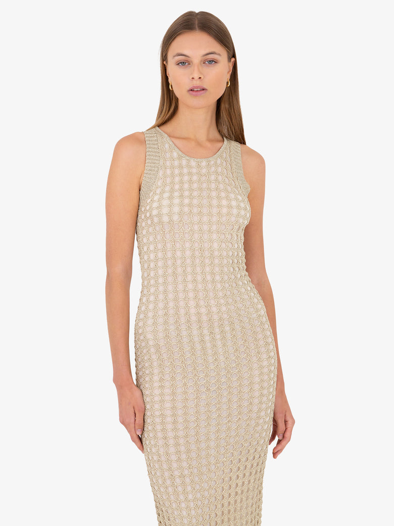 Ayla Net Midi Dress